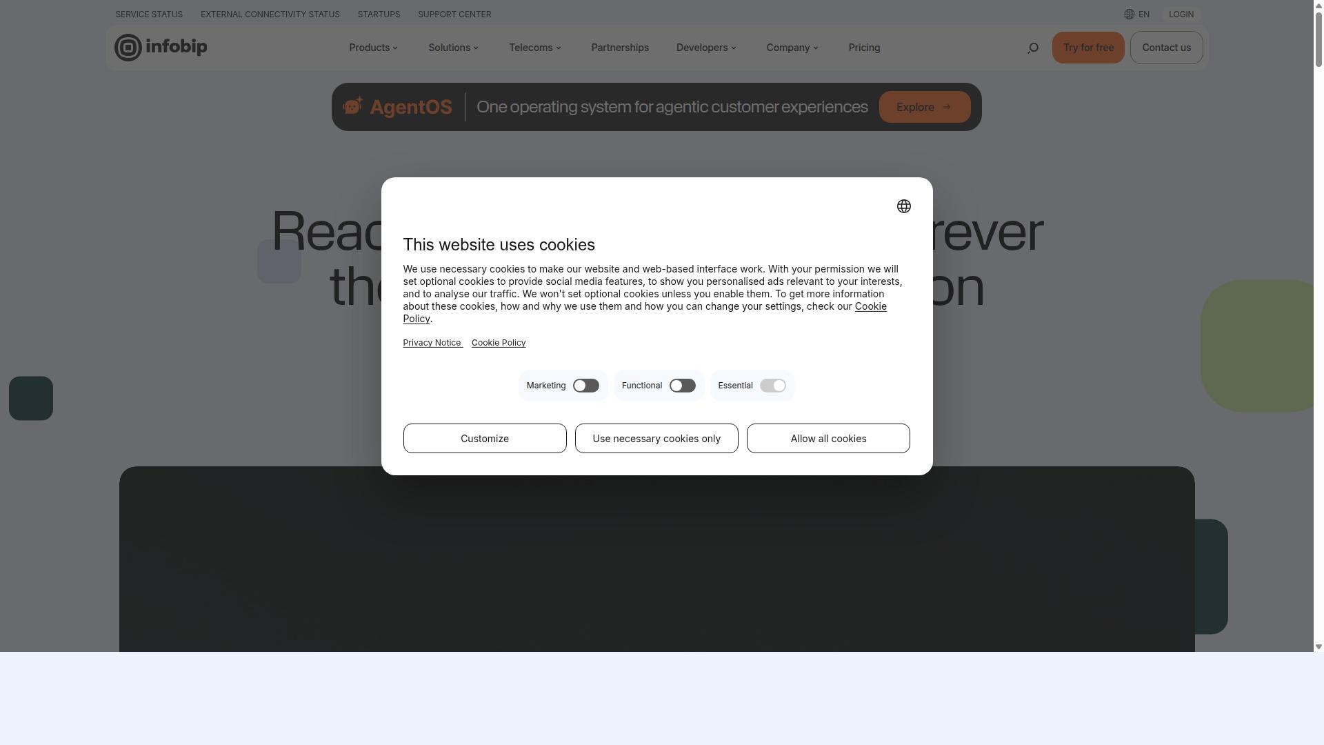 Infobip website